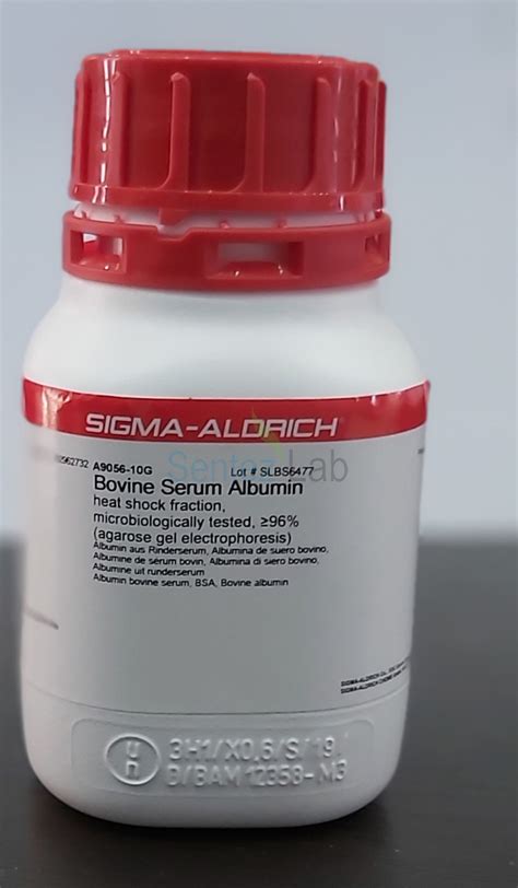 Bovine Serum Albumin .